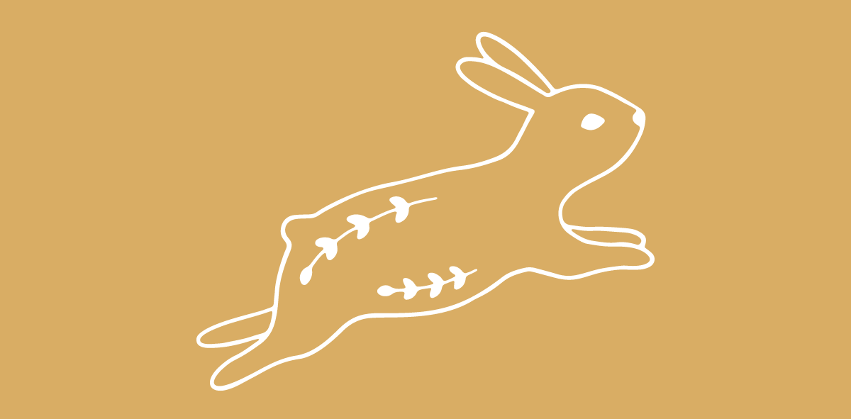 A rabbit jumping on yellow background